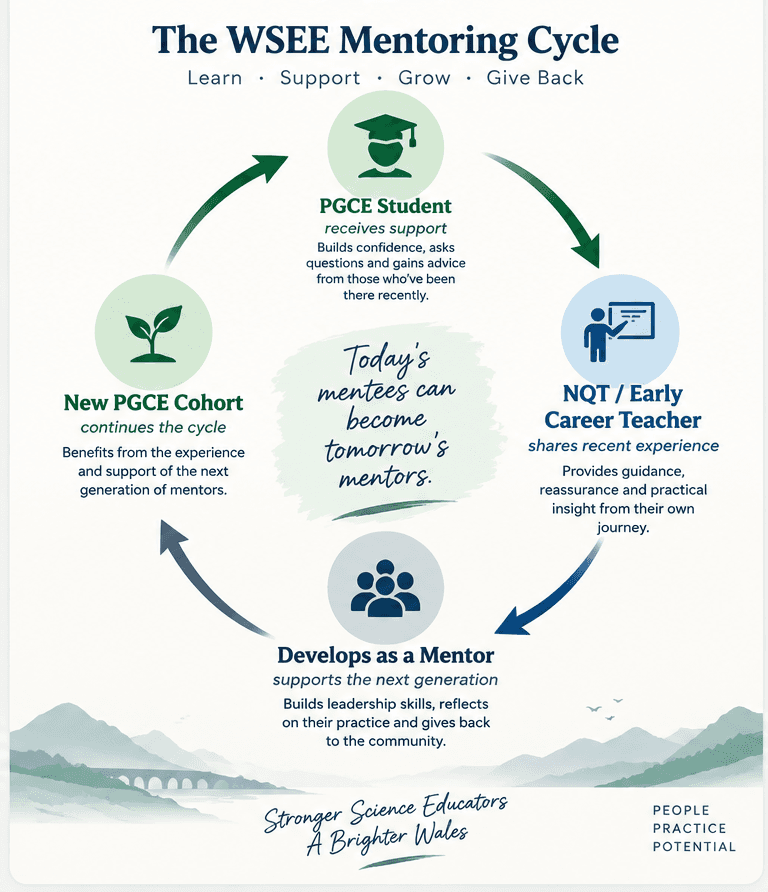 Diagram of the WSEE Mentoring Cycle: a PGCE student receives support, becomes an NQT sharing recent experience, develops as a mentor, and a new PGCE cohort continues the cycle.